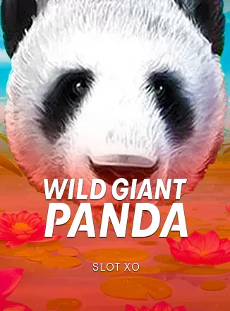 ปกเกม Wild Giant Panda หน้าแพนด้ายักษ์พื้นส้ม จากคลังภาพ VF338